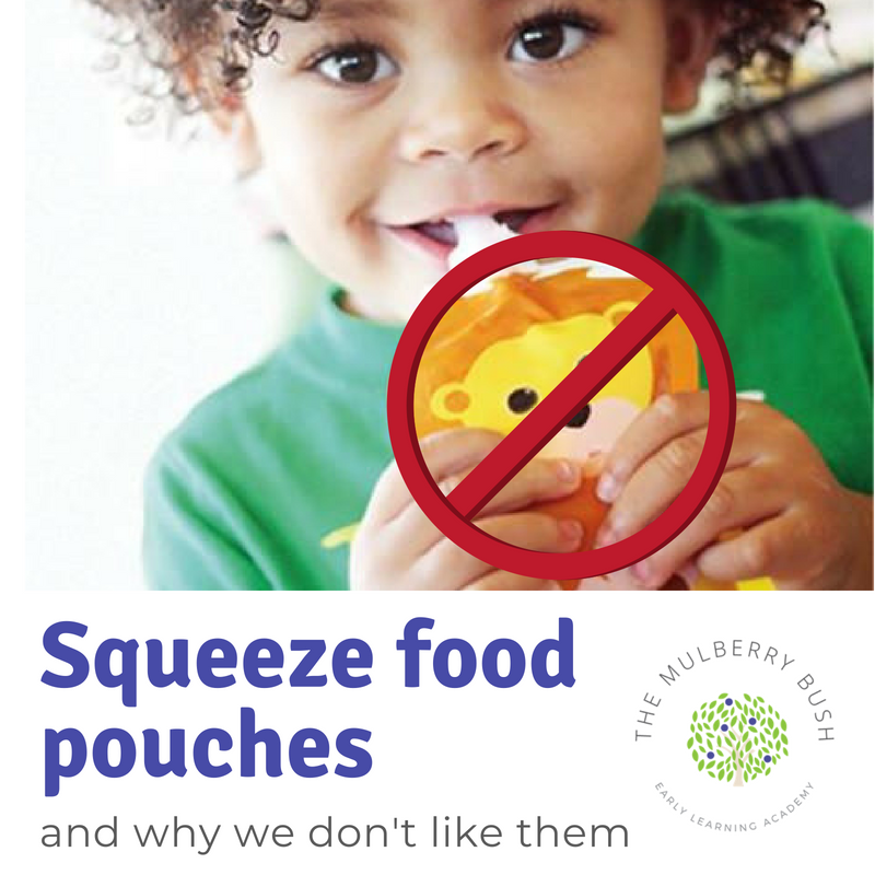 Our thoughts on squeezable food pouches